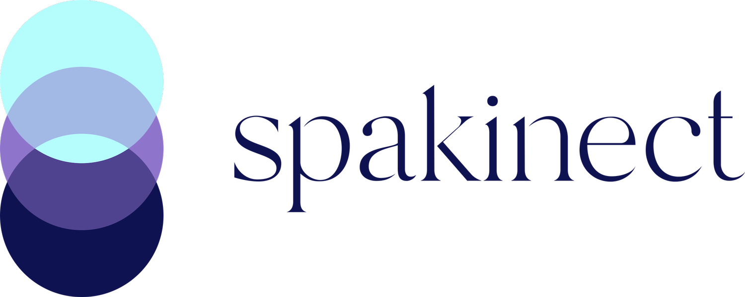 spakinect logo