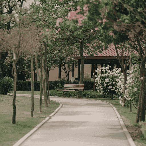 peaceful pathway